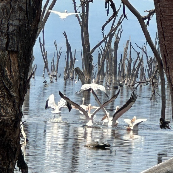 Meet your Posher, Janet - Picture 4 of 5